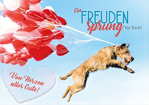 3 Stück Doppelkarte mit Kuvert Karte Luftballons Geburtstagskarte Geburtstag Alles Gute Hund Irish Terrier "Ein Freundensprung für Dich!" von Der-Karten-Shop.de
