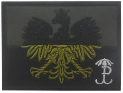 Polen Special Force Group GROM TF-49 Unit Adler Force Alfa Stickbild Backer für Hook & Loop Morale Patches Tactical Military Badge von Generic