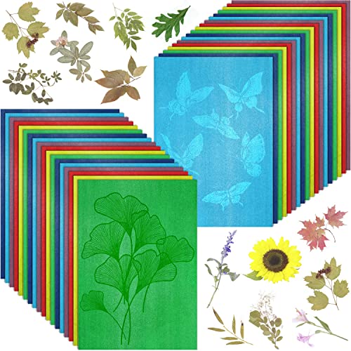 Buntes Cyanotyp-Papier, 36 Blatt, dickes Sonnendruckpapier, hochempfindlich, Natur, Sonne/Solar-aktiviert, Sonnen-Druck, Kunstpapier für Kunsthandwerk, DIY-Projekt, 6 Farben von LIGHOON