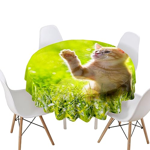Lukery Tischdecke Abwaschbar Gartentischdecke, Tischdecke Rund Tischdecken 3D Katze Tischtuch Outdoor Indoor, Tisch Schutz für Geburtstag (Schmetterling Katze,Durchmesser 160cm) von Lukery