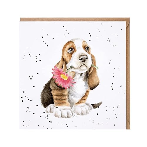 Wrendale - CS236 - Grußkarte, Doppelkarte mit Umschlag, Just for you, Hund mit Blume, Country Set Karte, 15cm x 15cm von Wrendale Designs