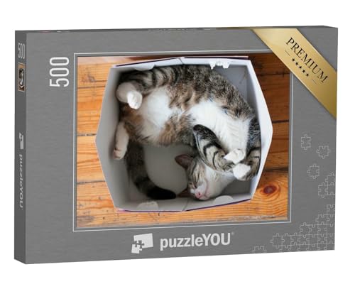 puzzleYOU: Puzzle 500 Teile „Gestreifte schlafende Katze, Pappschachtel als Bett“ – aus der Puzzle-Kollektion Katzen-Puzzles von puzzleYOU