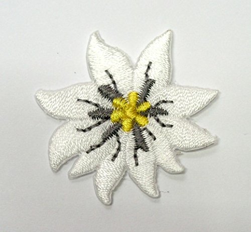 1A-Kurzwaren Aufnäher Bügelbild Aufbügler Iron on Patches Applikation Edelweiss Durchmesser 3,5cm Farbe: Weiss vor55-4 von Beichi