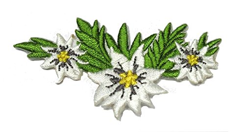 2 Aufnäher Bügelbild Aufbügler Iron on Patches Applikation Edelweiss 7 x 3,8cm vor209-6 von Buosha