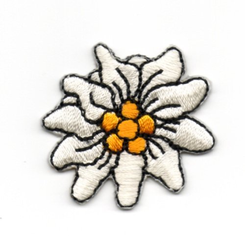 2 Aufnäher Bügelbild Aufbügler Iron on Patches Applikation Edelweiss Durchmesser 3,5cm vor55-2 von 1A-Kurzwaren