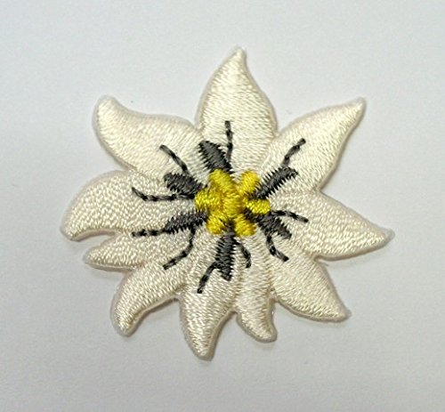 50 Aufnäher Bügelbild Aufbügler Iron on Patches Applikation Edelweiss Durchmesser 3cm Farbe: Beige vor55-7 von 1A-Kurzwaren