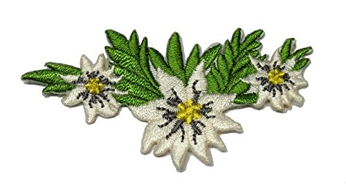 Aufnäher Bügelbild Aufbügler Iron on Patches Applikation Edelweiss 7 x 3,8cm vor209-7 von 1A-Kurzwaren