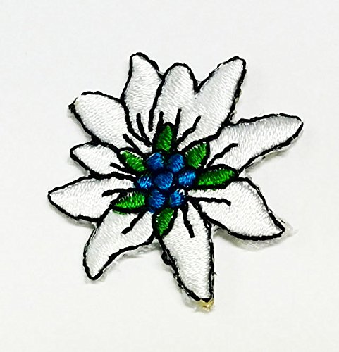 Aufnäher Bügelbild Aufbügler Iron on Patches Applikation Edelweiss Durchmesser 3,5cm Farbe: Weiss vor55-9 von 1A-Kurzwaren