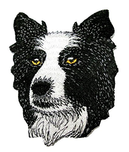 Aufnäher Bügelbild Aufbügler Iron on Patches Applikation Hund Border Collie 6,5 x 8cm vor134-8 von 1A-Kurzwaren