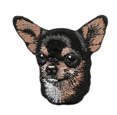 Aufnäher Bügelbild Aufbügler Iron on Patches Applikation Hund Chihuahuas 6,5 x 7,3cm vor134-2 von yaco