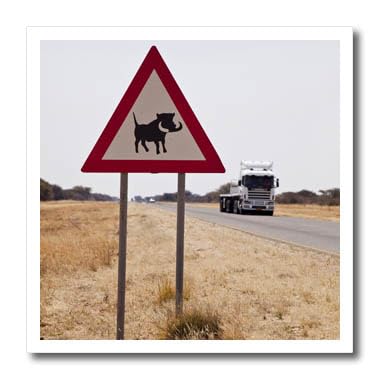 3dRose ht_74653_1 Namibia Schild Warnung vor einem Warthog Crossing-AF31 BJA0214 Jaynes Gallery Wärmetransfer, 20,3 x 20,3 cm von 3dRose