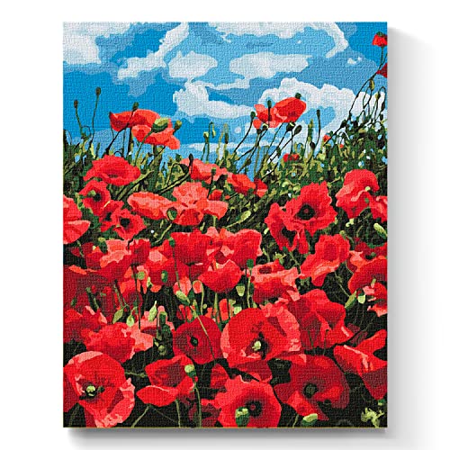 7 Artists Malen nach Zahlen Erwachsene mit Rahmen Divine Poppies Set 40x50 cm - Leinwand mit Pinseln, Acrylfarben für Malen Erwachsene von 7 Artists