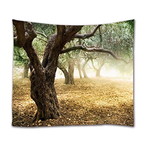 A.Monamour Wandteppiche Große Alte Olivenbäume Nebligen Wald Wald Natur Landschaft Landschaft Drucken Textilgewebe Wandbehang Wandbild Vorhang Indoor Outdoor Dekore von A.Monamour