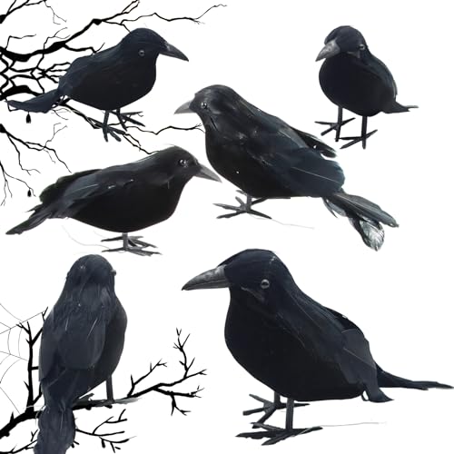 ACTOYS Halloween-Schwarze Krähe, 6 PCS Schwarze Krähen Requisiten, Schwarz Gefiederter Schaumstoff-Krähen, Gefälschte Raben Dekor, für Outdoor Indoor Party Halloween von ACTOYS