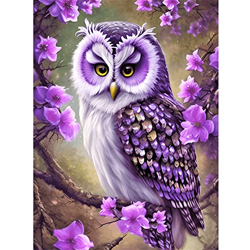 ACUYE 5D DIY Diamond Painting Eule Set für Erwachsene,Tiere Eule Diamant Painting 30x40CM Full Drill Eulen Deko Basteln Erwachsene von ACUYE