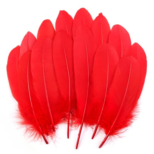 120 rote Gänsefedern, natürlich, 15-20 cm, für Bastelarbeiten, Cosplay, Hochzeit, Party, Halloween, Dekoration, Gänsefedern, Nagoire von ADSUBHSJFAKK