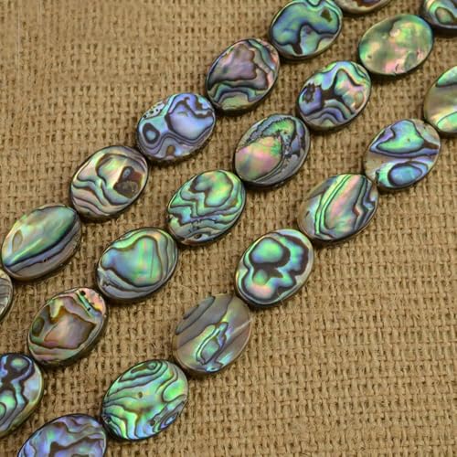 Abalone-Muschelperlen mit mittlerem Loch, Ellipsenform, natürliche Muschelperlen, zum Selbermachen, lose Perlen für Schmuckherstellung (10 x 14 mm) von ADSUBHSJFAKK