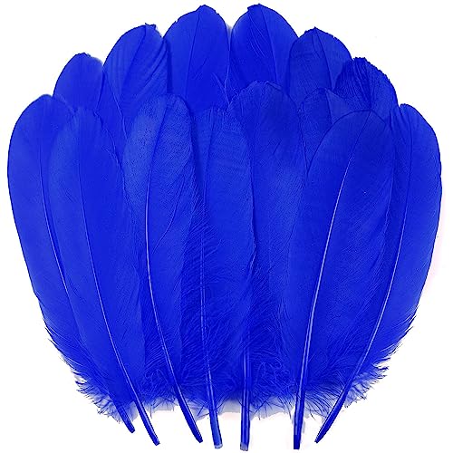 Blue Craft Gänsefedern – 15,2–20,3 cm große Federn für Bastelarbeiten, Engelsflügel, Traumfänger und Hochzeits-Party-Dekoration, 120 Stück von ADSUBHSJFAKK