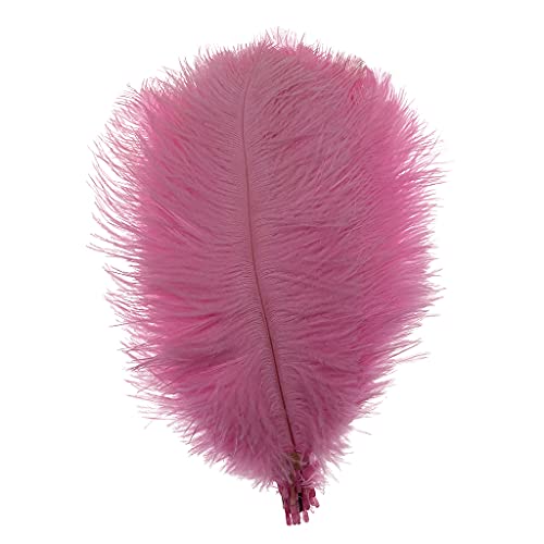 Bunte Straußenfedern, Bastelfedern für Zuhause, Hochzeit, Party, Dekoration, 15–20 cm, Rosa, 20 Stück von ADSUBHSJFAKK