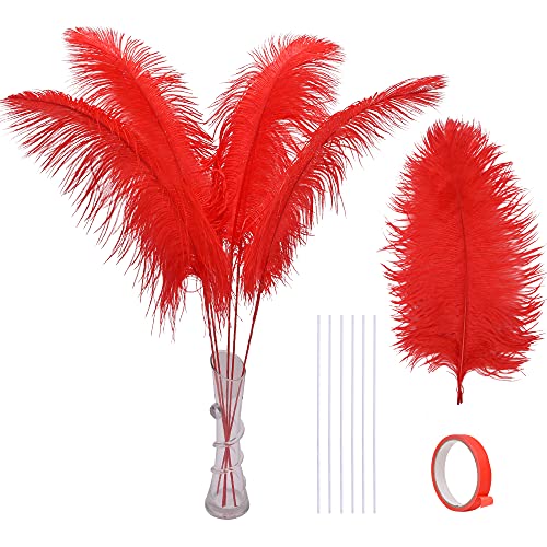 Echte rote Straußenfedern, Bastelset, 10 Stück, 71,1 cm, große Bastelfedern, Großpackung für Hochzeit, Party, Tafelaufsätze, Vasen, Blumenarrangement und Heimdekoration von ADSUBHSJFAKK