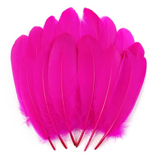 Gänsefedern in Hot Pink, 15-20 cm, für Bastelarbeiten, Cosplay, Hochzeit, Party, Halloween, Dekoration, Gänsefedern, 120 Stück von ADSUBHSJFAKK