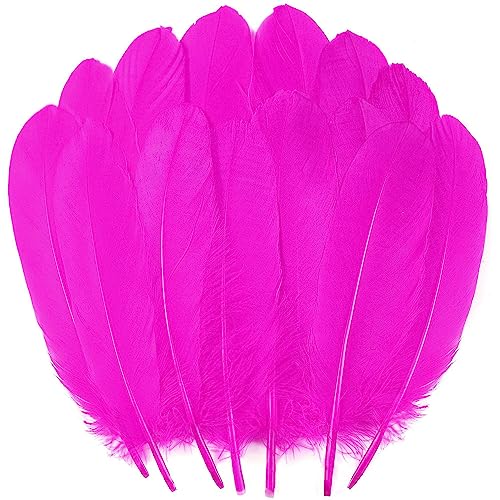 Gänsefedern zum Basteln, 15,2–20,3 cm, für Bastelarbeiten, Engelsflügel, Traumfänger und Hochzeits-Party-Dekoration, Fuchsia, 120 Stück von ADSUBHSJFAKK