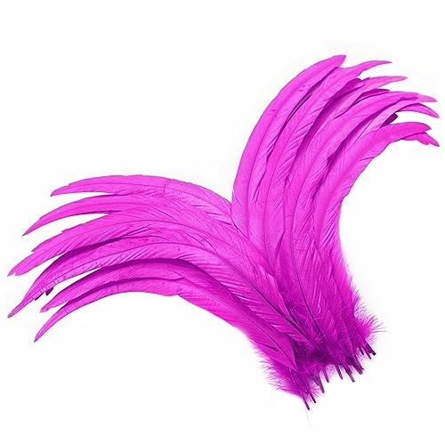 Hahnfedern in Hot Pink, 60 Stück, 30,5–35,6 cm, natürlich, große Hahnschwanzfedern, Großpackung für Bastelarbeiten, Kostüme, Urlaub, Motto-Party-Dekoration (Hot Pink) von ADSUBHSJFAKK