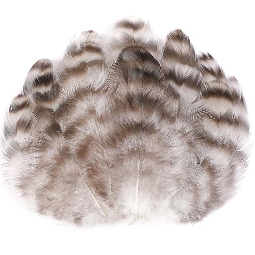 Natürliche Chinchilla-Coque-Federn – 300 Stück 7,6–12,7 cm Bastelfedern für Traumfänger-Zubehör, Heimparty, Hüte und Schmuckzubehör und Bastelarbeiten (Chinchilla) von ADSUBHSJFAKK