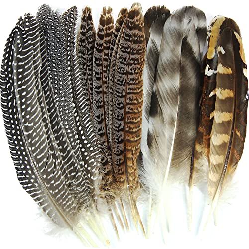 Natürliche Fasanenfedern, 4 Stile, 15–20 cm, für Bastelarbeiten, Zuhause, Party, Hochzeit, Aufführungen, Dekorationen, Fasanenfedern, 24 Stück von ADSUBHSJFAKK