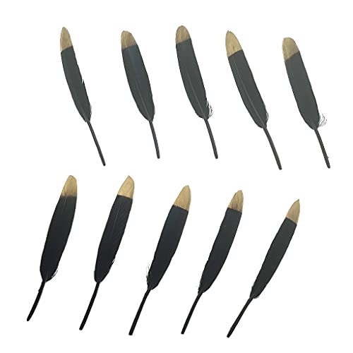 Natürliche Gänsefedern, 10,2–15,2 cm, für Bastelarbeiten, Hochzeit, Zuhause, Party, Dekoration, Goldfeder und Geschenkbox-Dekorationen (Schwarz & Gold3) von ADSUBHSJFAKK