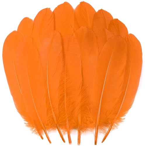 Orange Bastelfedern, Großpackung – 15,2–20,3 cm große Federn für DIY-Halloween-Dekorationen, Schmuck, Cosplay und Kleidungszubehör, 120 Stück von ADSUBHSJFAKK