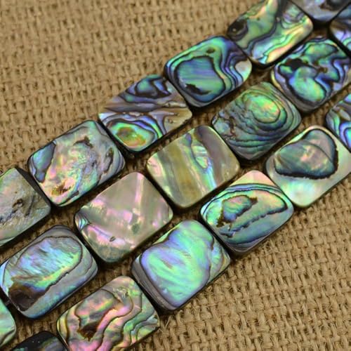 Rechteckige Abalone-Muschelperlen mit mittlerem Loch, natürliche Muschelperlen, zum Selbermachen, lose Perlen für Schmuckherstellung (10 x 14 mm) von ADSUBHSJFAKK