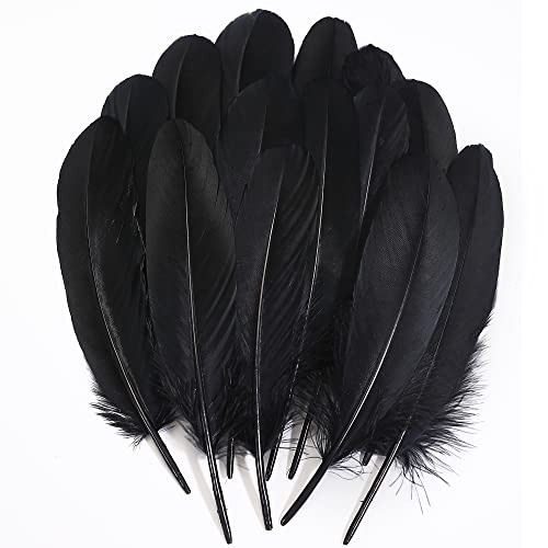 Schwarze Bastelfedern, 15,2 - 20,3 cm, echte Gänsefedern für DIY-Halloween-Dekorationen, Schmuck, Cosplay und Kleidungszubehör, 120 Stück von ADSUBHSJFAKK