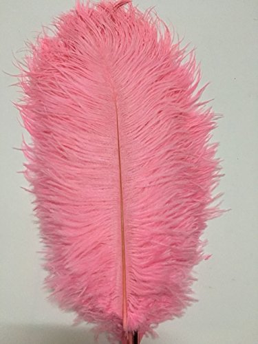 Straußenfedern, Fransenband zum Nähen, für Handwerk, Kleidung, Zubehör, lateinamerikanisches Hochzeitskleid, DIY, 10,2–15,2 cm Breite (2 Yards, Fuchsia/Rosenrosa) von ADSUBHSJFAKK