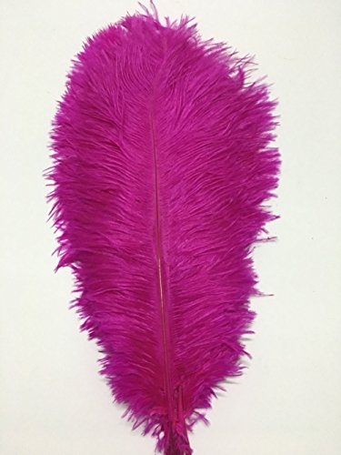 Straußenfedern, Fransenband zum Nähen, für Handwerk, Kleidung, Zubehör, lateinamerikanisches Hochzeitskleid, DIY, 10,2–15,2 cm Breite (2 Yards, Fuchsia/Rosenrosa) von ADSUBHSJFAKK