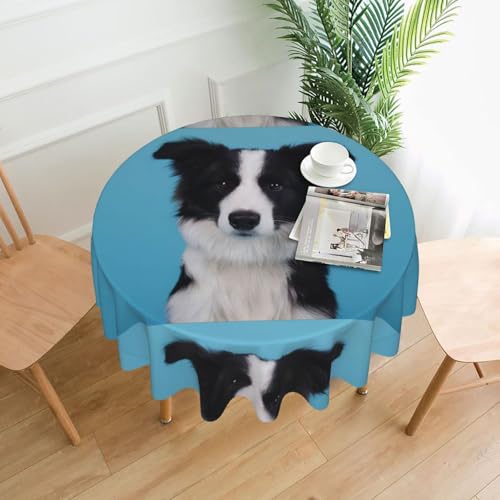 AEKGOHP Runde dekorative Tischdecke, 152,4 cm, Border Collie-Druck, wasserdicht, waschbar und wiederverwendbar, für Essen, Kaffee, Picknick, Hochzeit, Party AEKGOHP Runde dekorative Tischdecke, 152,4 cm, Border Collie-Druck, wasserdicht, waschbar und wiederverwendbar, für Essen, Kaffee, Picknick, Hochzeit, Party von AEKGOHP