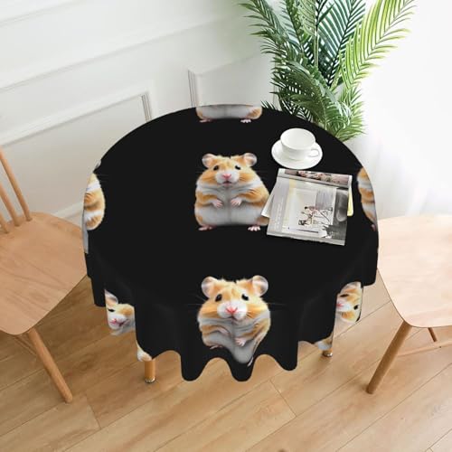 AEKGOHP Runde dekorative Tischdecke, 152,4 cm, Mini-Hamster-Drucke, wasserdicht, waschbar und wiederverwendbar, für Essen, Kaffee, Picknick, Hochzeit, Party AEKGOHP Runde dekorative Tischdecke, 152,4 cm, Mini-Hamster-Drucke, wasserdicht, waschbar und wiederverwendbar, für Essen, Kaffee, Picknick, Hochzeit, Party von AEKGOHP