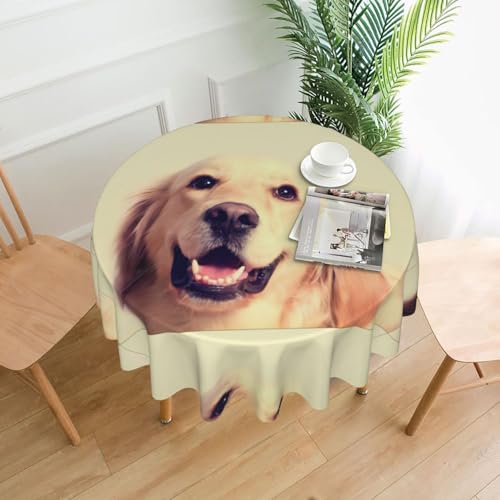 AEKGOHP Runde dekorative Tischdecke, 152,4 cm, schöne Golden Retriever-Hunde-Drucke, wasserdicht, waschbar und wiederverwendbar, für Essen, Kaffee, Picknick, Hochzeit, Party AEKGOHP Runde dekorative Tischdecke, 152,4 cm, schöne Golden Retriever-Hunde-Drucke, wasserdicht, waschbar und wiederverwendbar, für Essen, Kaffee, Picknick, Hochzeit, Party von AEKGOHP