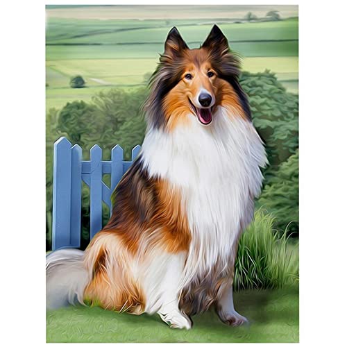 5D Diamond Painting Set Collie DIY Diamant Painting Bilder Zubehör für Erwachsene Kinder Anfänger Wand Dekorationen Wohnzimmer Schlafzimmer Büro Bar, 40x60cm/16x24inch von AENL