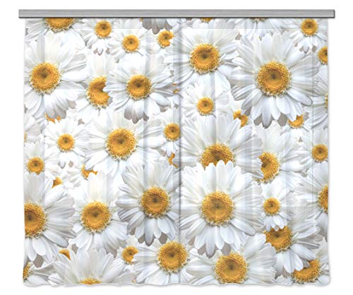 AG Design FCSXXL 7412 Blumen, Gardine/Vorhang, 2 Teile, Stoff, Mehrfarbig, 280 x 245 cm von AG Design