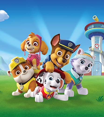 AG Design Paw Patrol Spielen auf dem Rasen, Vlies Fototapete für EIN Kinderzimmer, 180 x 202 cm, FTDNXL 5151, Mehrfarbig von AG Design