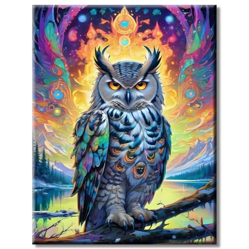 AGYOYGA Malen Nach Zahlen Erwachsene Tiere, Malen Nach Zahlen kinder Eulen ölgemälde - Leinwand Acrylfarbe Bastelset, Anfänger Paint by Numbers Adult set - 40 X 50 cm Geschenkpackung von AGYOYGA