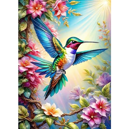 AIRDEA 5D Schöner bunter Kolibri Diamond Painting Erwachsene, DIY Diamond Painting Bilder Erwachsene, Diamantmalerei Bastel Set Nach Zahlen Heimdekor Geschenk 30x40cm von AIRDEA