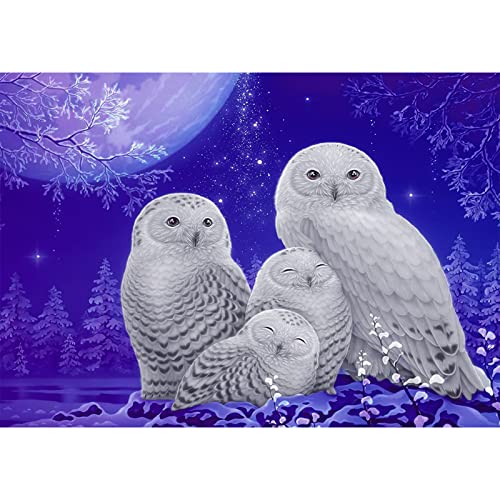 AIRDEA DIY Eulen Diamond Painting Set Erwachsene Kinder, Mond Diamant Painting Bilder 5D Schneeeule Diamant Kunst Winter Diamant Malerei Set Cross Stickerei Malerei Kits für Heimdekor 30x40 cm von AIRDEA