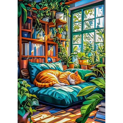 AIRDEA Katze Diamond Painting Erwachsene, DIY 5D Bücherregale Diamant Painting Bilder, Bastelset Erwachsene Frauen als Haus Wanddeko 30x40 cm von AIRDEA