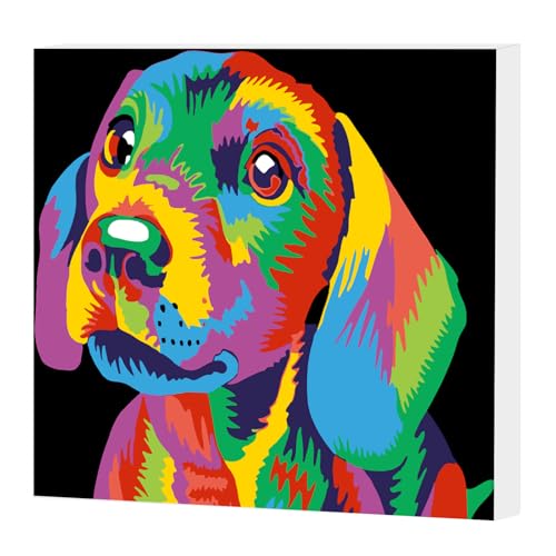 AIRDEA Regenbogen Süßer Hund Malen Nach Zahlen Erwachsene mit Rahmen, DIY Malen Nach Zahlen Mit 3-Pinseln und Acrylfarbe, Handgemalt Ölgemälde Kit für Anfänger Erwachsene, Inneneinrichtung 20X20CM von AIRDEA