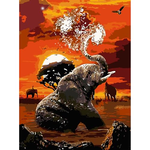 AIRDEA Sonnenuntergang Elefant Malen Nach Zahlen Erwachsene, DIY Malen Nach Zahlen, Handgemalt Ölgemälde Kit für Anfänger Erwachsene Mit 3-Pinseln und Acrylfarbe, Inneneinrichtung 30X40CM von AIRDEA