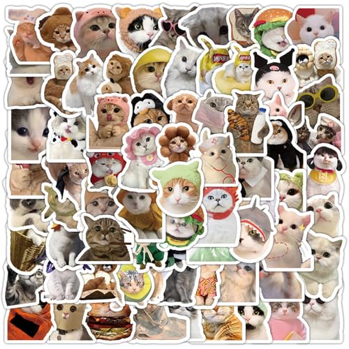 AIZHAZHA 100 Stück Katzen Sticker,Kawaii Sticker,Kätzchenaufkleber romantische Heilung, sanfte süße Katzen Dekoaufkleber süße Katzen Kühlschrankaufkleber für Zuhause, Handyhülle, Dekoaufkleber von AIZHAZHA