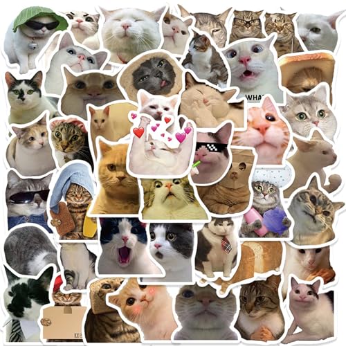 100 Stück Sticker Aesthetic,Katzen Sticker,Stickers Aufkleber Cute,Cat Funny Katze,Lustig Süße Tiere,Wasserfest Animals Katzen-Aufkleber-Set,für Klein Koffer Koffersticker,Kühlschrank-Aufkleber von AJUNLKVDR