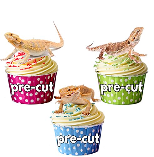 12 X Reptiles de jardin Dragon Barbu carte en Papier comestible prédécoupé pour décorations de gâteau avec support de fixation von AK Giftshop